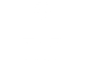 C60 Evo logo white